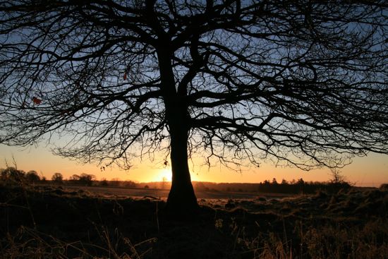 Dawn on the Causeway