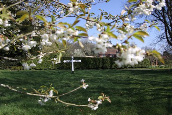 Cherry Blossom - Lower Chute