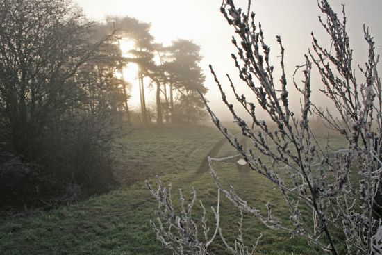 Frosty Morning Causeway