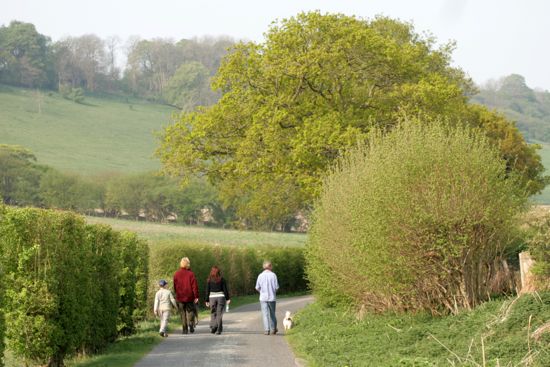 Walking in Hippenscombe