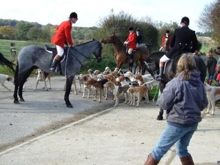 The Hunt