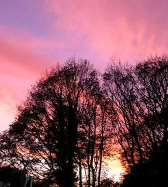 Pink Sunset