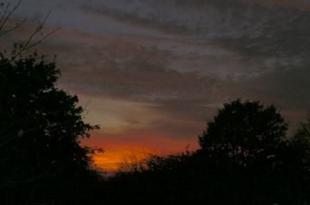Orange Sunset