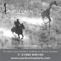 Advertisement